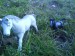 DSC02184